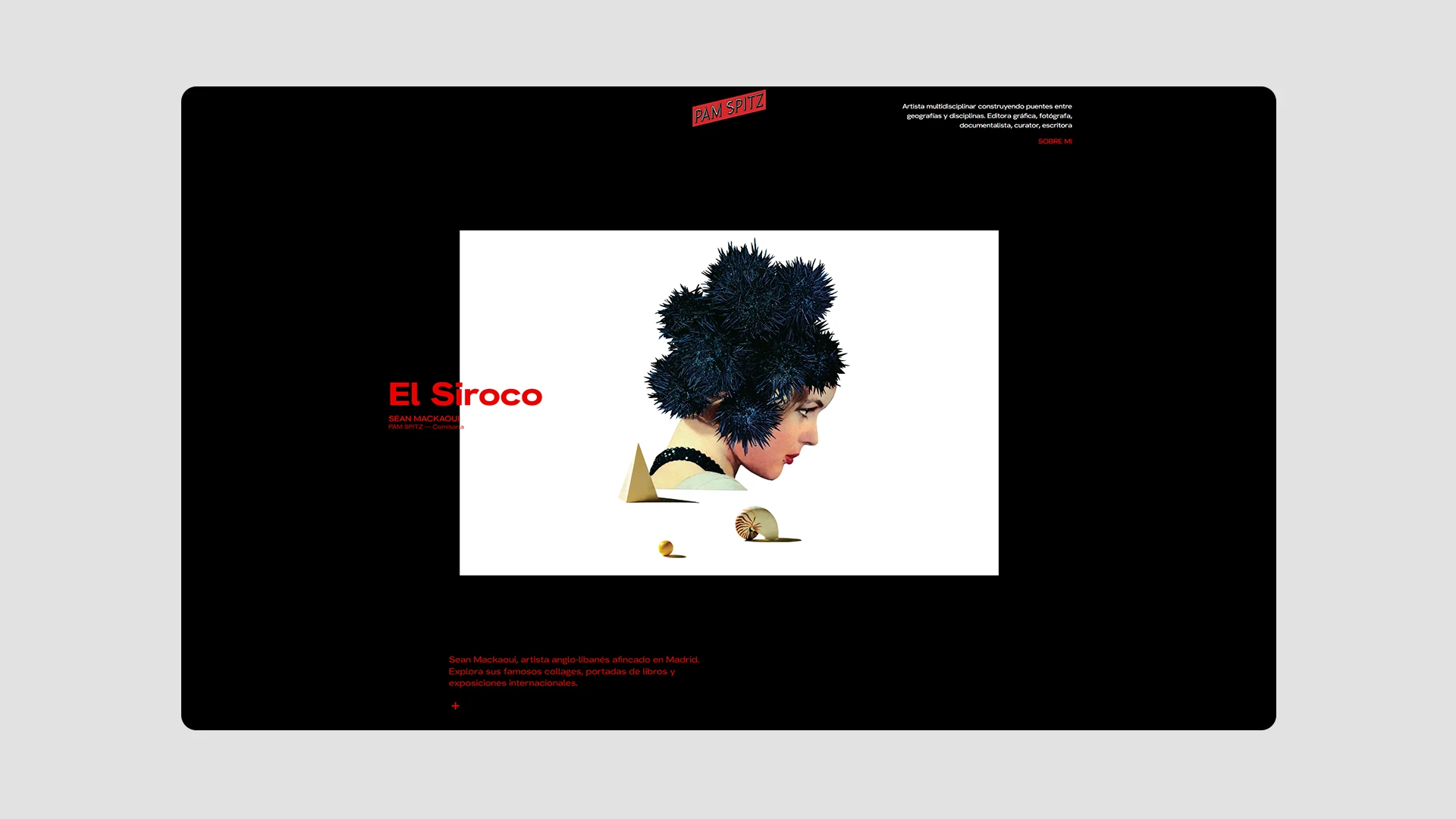 Diseño de página web para Pam Spitz